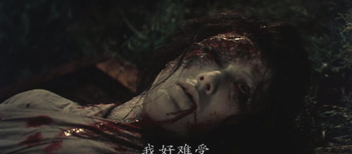 我的世界漆黑一片看不见明天…、回忆的画面…