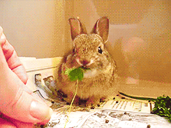 245_184 gif 动态图 动图