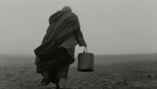 都灵之马】一男一女一马只有煮土豆蘸盐强劲“风头”闷片- 《都灵之马》影评