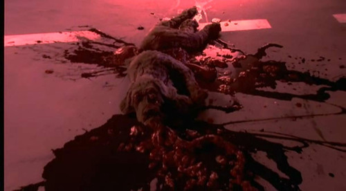 后果》--千万好好活着–+《后果》影评