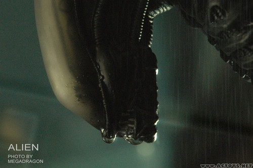 异形的来龙去脉 – 《普罗米修斯》影评