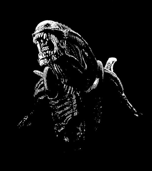 异形的来龙去脉 – 《普罗米修斯》影评