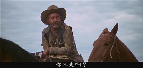 掠影:日落黄沙流寇志,暴力美学派始祖电影之一