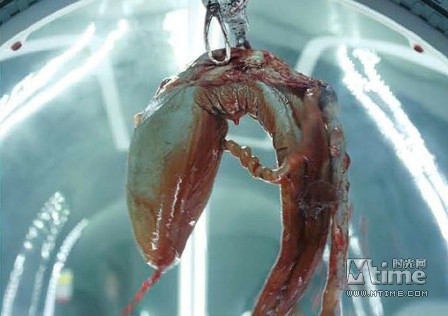 《普罗米修斯》变异公式的个人见解 盘点控 电影