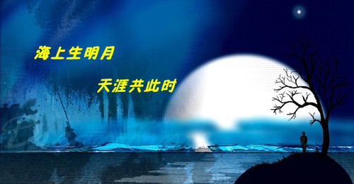 ... 此时杨丽萍图_天涯共此时20110816_天涯共此时女主持人