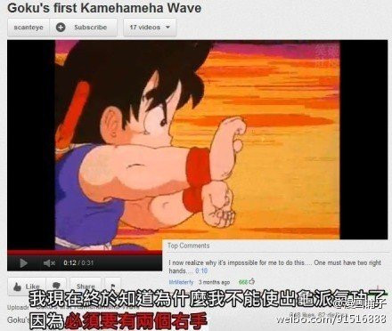 乌龟为什么不宜惹 214425.80841123.jpg