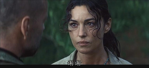 鲁斯·威利斯 莫妮卡·贝鲁奇)猎日风暴 <em>太阳泪</em>