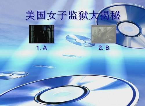 <em>美国女子监狱</em>系列+影音藏经阁散碟