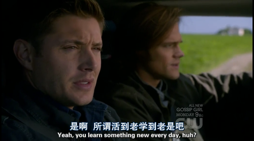 美剧字幕组的搞笑翻译，大家一起来搜集！ 美剧美剧 电影