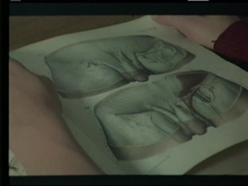 <em>少女艾曼妞</em>+:影片是朴素的