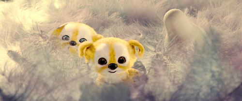 7月17日《追踪长尾豹马修》北京免费观影活动