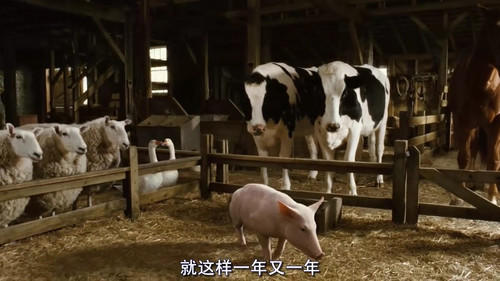 《<em>夏洛特的网</em>》:友谊--是相互的 电影不夜城 电
