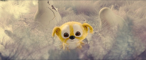 7月18日《追踪长尾豹马修》武汉免费观影活动