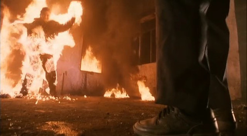 《乌鼠机密档案》:极度虐心三级片 睡觉前别看