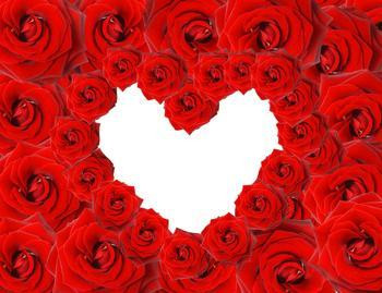 玫瑰女子爱心看图猜成语_看图猜成语