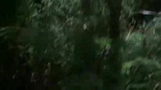 死亡繁殖 先行版预告片