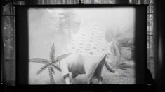 科学怪狗 全片