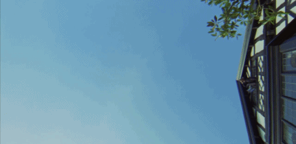 【i猜电影】gif无主题猜