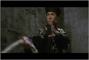 甄子丹 donnie yen