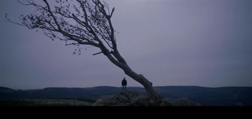 《<em>女性瘾者</em>(<em>慕男狂</em>)1+2》题材好 没拍好 涉LL《