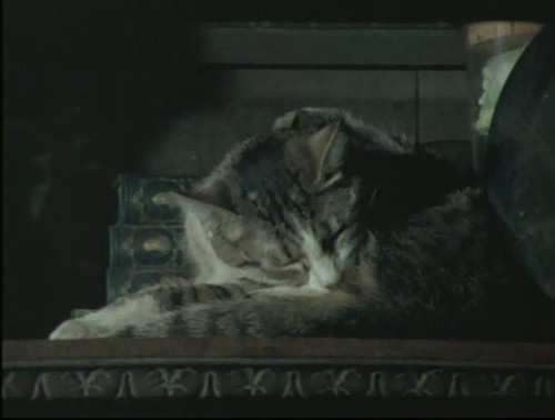 (<em>少女艾曼纽</em> 女同 1970-2002)法国经典情·色电