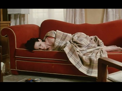 亲情《树》女人d秘密\/卖百科全书d女人》婚内