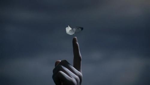 华丽的复仇--《告白》 天堂电影小组 电影