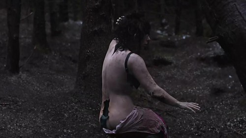 皮囊之下 under skin 2013 皮囊之下 影评