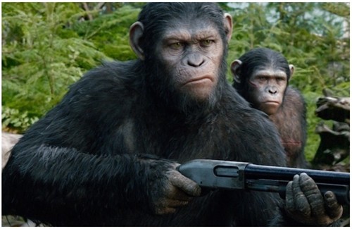 《枪》的视角、人的故事、猿的崛起