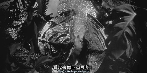 《天外魔花》--是不是亲媳妇,吻一个就造了 天