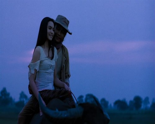 《火云盗》拳霸出击 天堂电影小组 电影