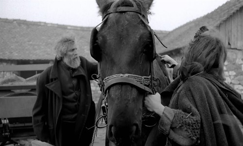 【黑色电影】《都灵之马》的黑色本质