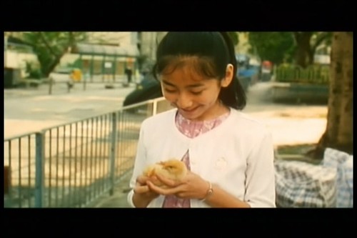 《友情岁月山鸡故事》友情岁月