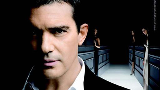 当性感成为一种原罪