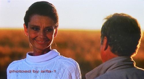 《直到永远》俗套照样能成就好电影-暨自制中文字幕下载(7) - 《直到永远》影评- Mtime时光网