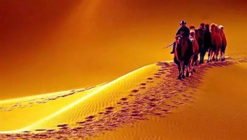 景海精摄:(51)梦驼铃,太美啦!