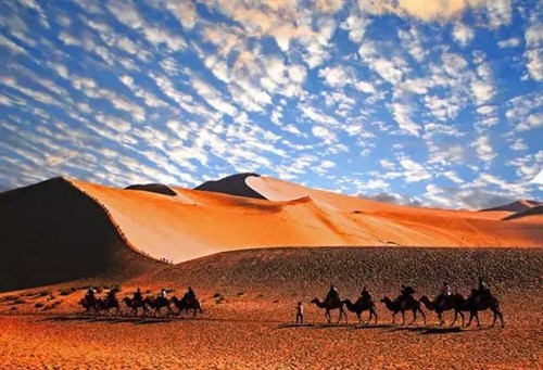 景海精摄:(51)梦驼铃,太美啦!