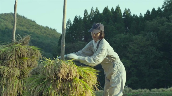 小森林夏秋篇- 《小森林夏秋篇》影评- Mtime时光网