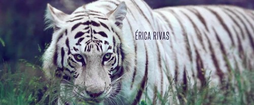 人生无处不荒蛮 - 《荒蛮故事》影评- Mtime时光网