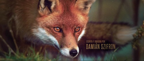 人生无处不荒蛮 - 《荒蛮故事》影评- Mtime时光网