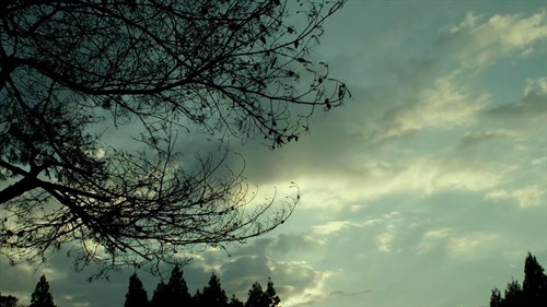 冬日里的隐秘心事--评《小森林 冬春篇》 - 《小