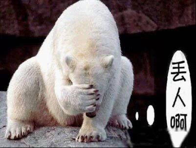 乃们这般调戏美国核心价值观真的不怕CIA查水