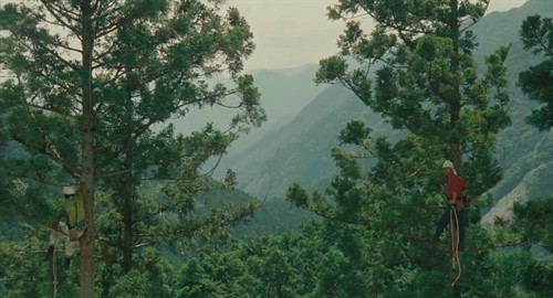 如居世外，胜似桃源