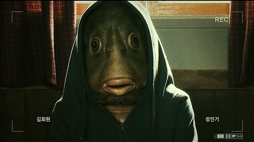 夏天的尾巴的博客:Summer Rainbow – Mtime