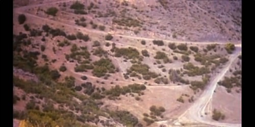 生生长流 – 《生命在继续》影评