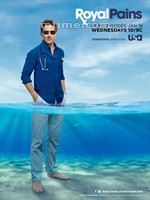 欲海医心Royal Pains (2009)