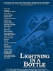 瓶中闪电/Lightning in a Bottle(2004)