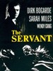 仆人/The Servant