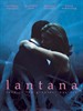 马缨丹 Lantana(2001)