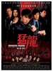 猛龙/Dragon Squad(2005)